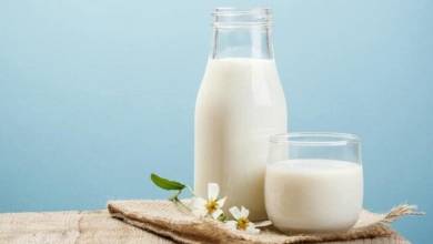 آیا مصوبه جدید قیمت شیر خام اجرایی می شود؟
