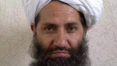 نگاهی سوابق رهبر طالبان؛ از فرماندهی جنگ‌ها علیه آمریکا تا بیعت با القاعده