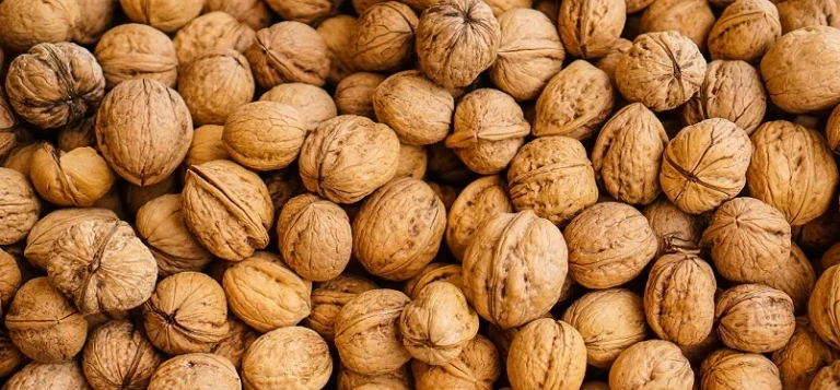 گردوی سوزنی را چگونه مغز کنیم?