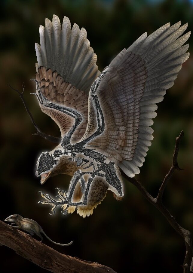 این موجود مرموز ترکیبی عجیب از دایناسور و پرنده است / عکس
