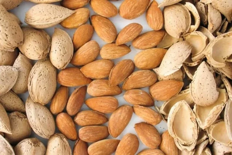 بادام تازه و لذیذ برای خرید