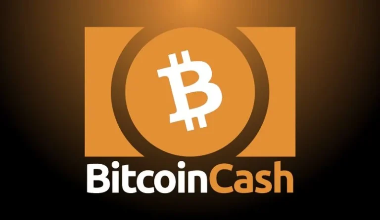 بیت کوین کش چیست؟