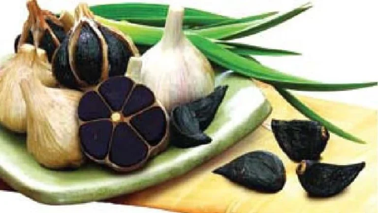 سیر سیاه برای غلظت خون