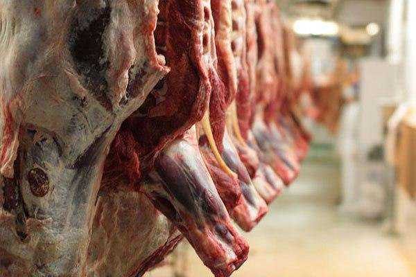 عرضه بیش از ۳۳ هزار تن گوشت در خرداد ماه