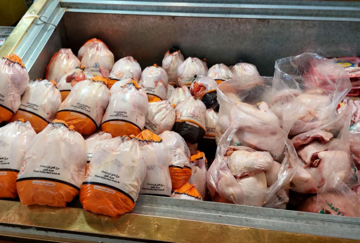 خرید بیش از ۳۵ هزارتن گوشت مرغ تولید داخل